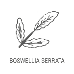 boswellia serrata fitomed