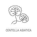 Centella Asiatica collagene