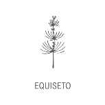equiseto fitomed