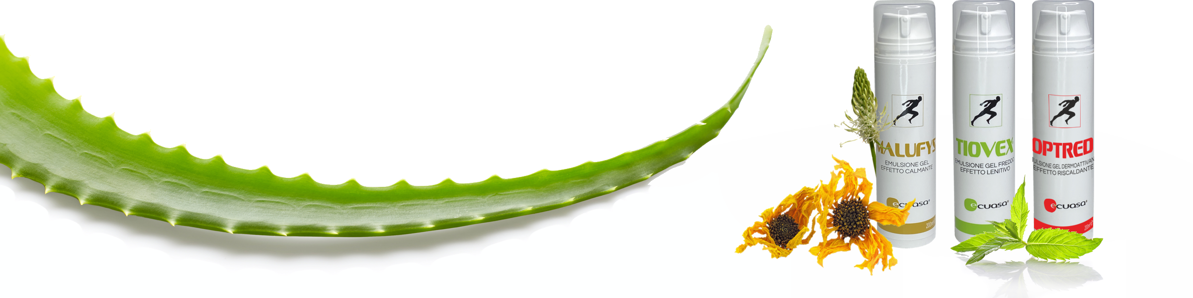 ricerca, innovazione & natura medifis cura e benessere del corpo