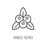 Ribes Nero Frutti Rossi